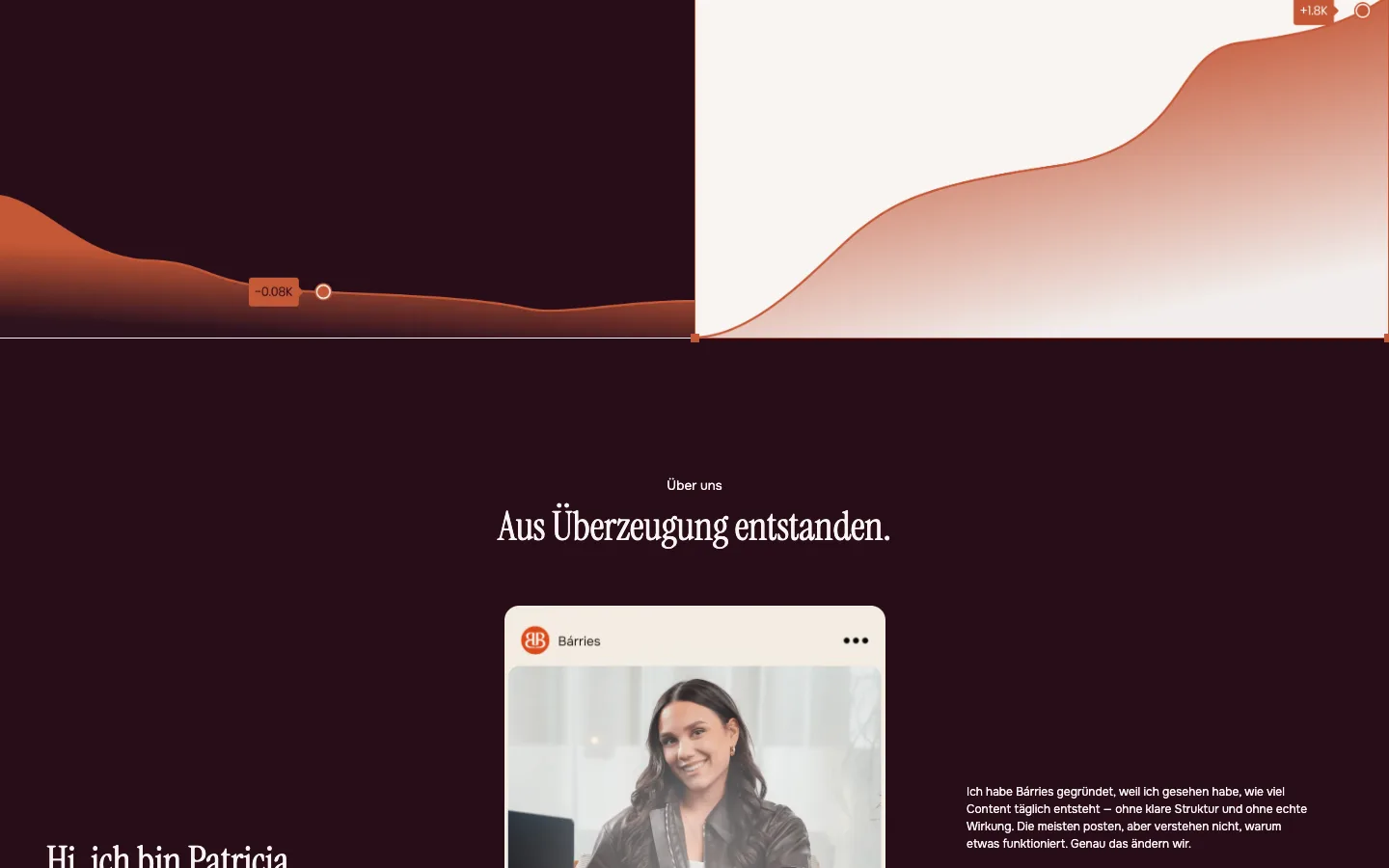 Bárries website, section 2