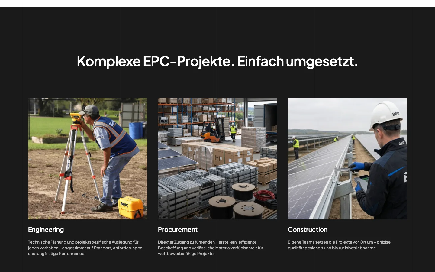 BRIC website, section 2
